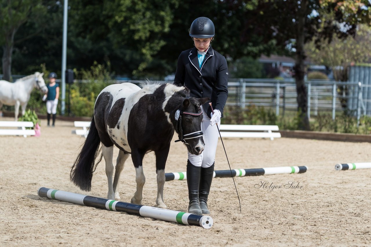 Bild 5 - Pony Akademie Turnier